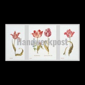stickpackung tulpen drieluik