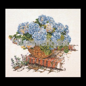 stickpackung hortensia blauw