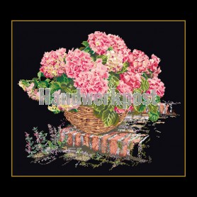 stickpackung hortensia rose op zwart