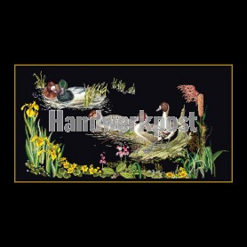 stickpackung eenden op zwart