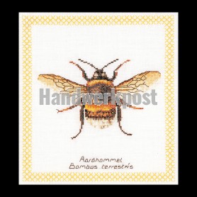 stickpackung aardhommel
