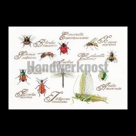 stickpackung insekten