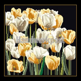 stickpackung tulpenveld op zwart