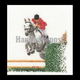 stickpackung paardensport