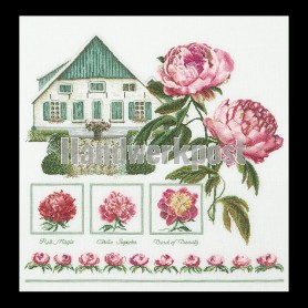 stickpackung boeren pioen