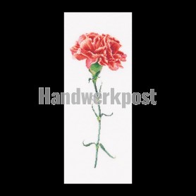 stickpackung rode anjer