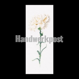 stickpackung witte anjer