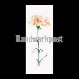 stickpackung peach anjer