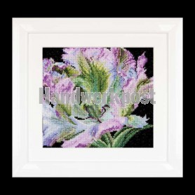 stickpackung tulp close-up