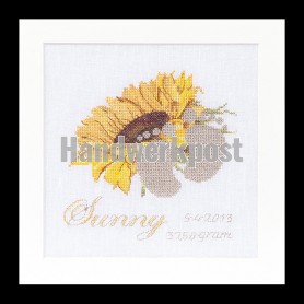 stickpackung geburt sunny
