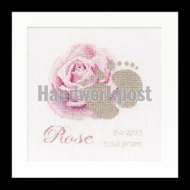 stickpackung geburt rose