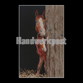 stickpackung jaufenpass op zwart