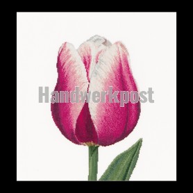 stickpackung tulp-4