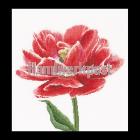 stickpackung tulp-7