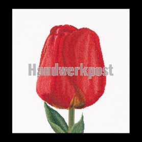 stickpackung tulp-8