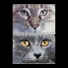 stickpackung cats, jack&luna