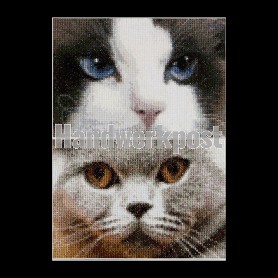 stickpackung cats, smokey&blu