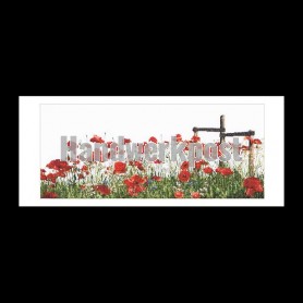stickpackung papavers rood 