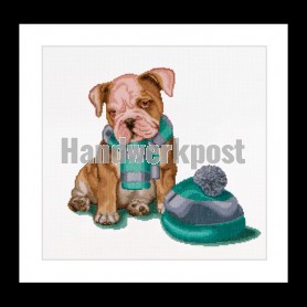 stickpackung boxer met sjaal en muts