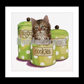 stickpackung poes tussen koektrommels