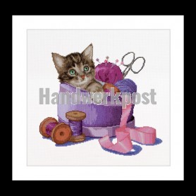 stickpackung poes tussen naaigerei