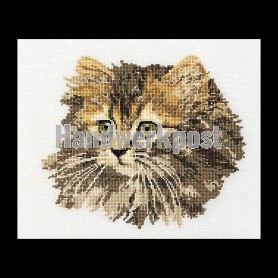 stickpackung langharige poes