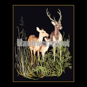 stickpackung herten met jong op zwart