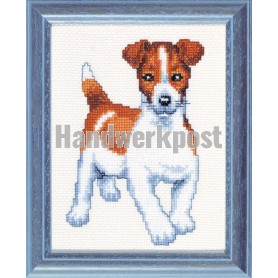 stickpackung jack russel