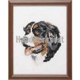 stickpackung berner senner