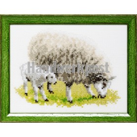 stickpackung schaap met lammetje