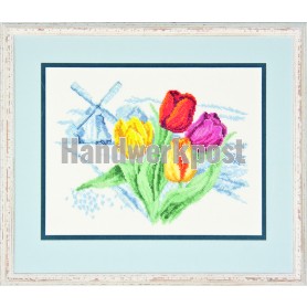 stickpackung hollandse tulpen met molen