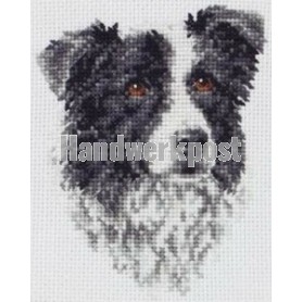 stickpackung border collie