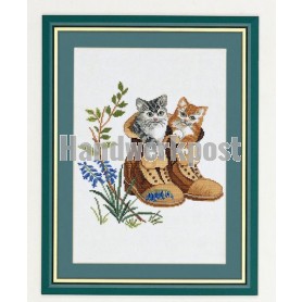stickpackung kittens in schoenen