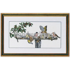 stickpackung voederplank met vogels