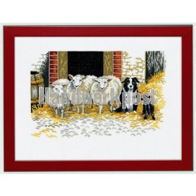 stickpackung schapen met schapendoes