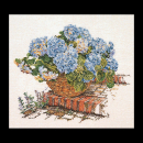 stickpackung hortensia blauw