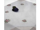 stielstichdecke kaapse viooltjes, wit
