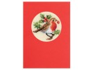 stickpackung weihnachtskarte, roodborstje