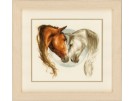 stickpackung paardenhoofden