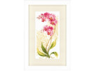 stickpackung orchideeën