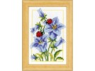 stickpackung blauwe klokjesbloem met lieveheersbeestjes