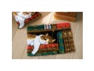 knüpfdecke poes in de boekenkast