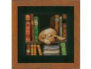 stickpackung hond in de boekenkast
