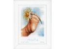 stickpackung voetje met margriet, geburt amelia