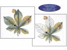 stickpackung kastanjeblad (material für 1 dessin)