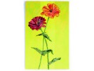 stickpackung zinnia's-1