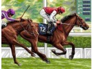 stramin paardenrace