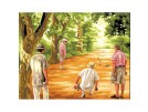 stramin jeu de boules