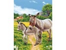 stramin + garnpaket, ezel met veulen