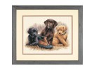 stickpackung labradorpups met schoen